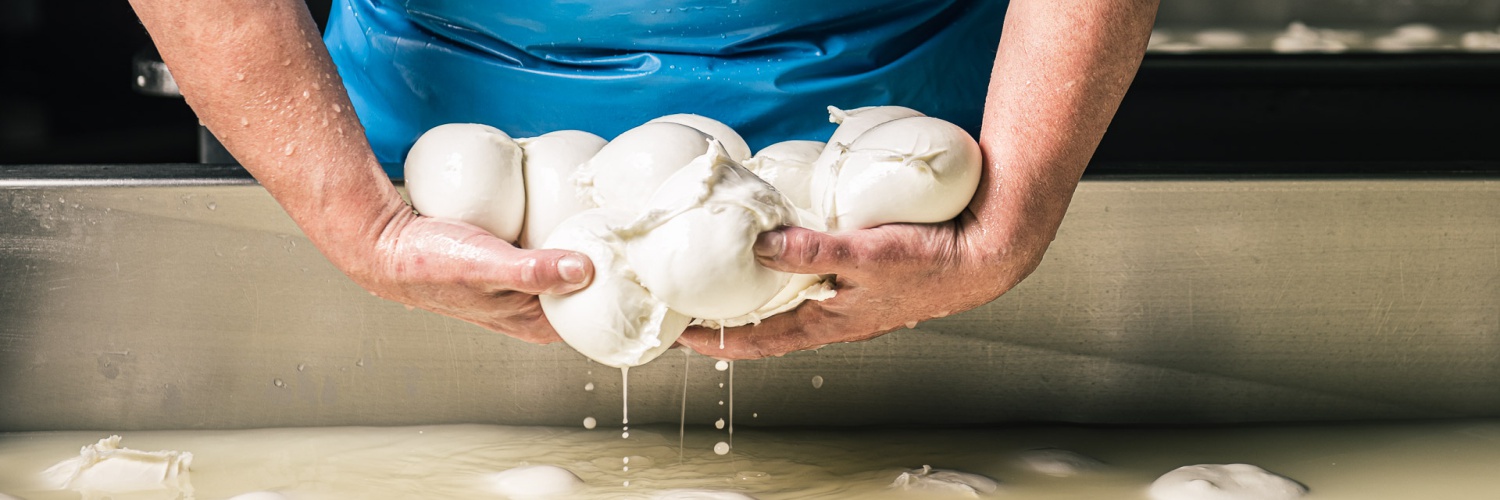 Produzione mozzarella di bufala.jpg